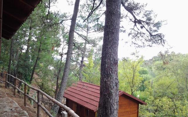 Camping la Eliza