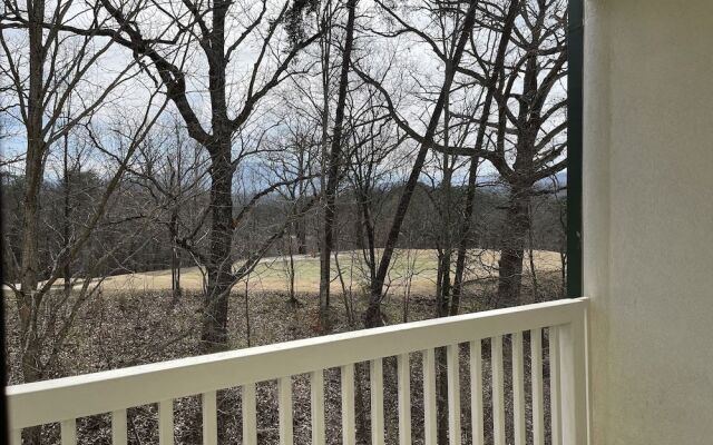 Smoky Mountain Bearadise w Pool.