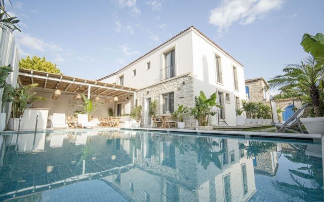 Voger Alacatı Koyici