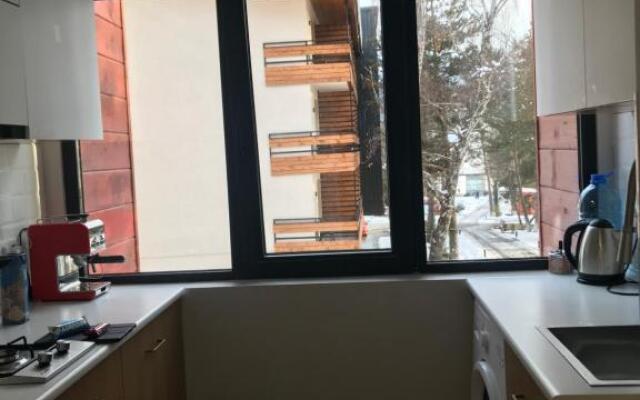 Apartamenti Bakuriani INN