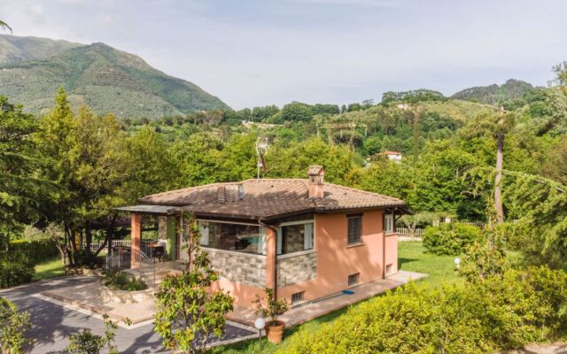 Verde Versilia (CMA225)