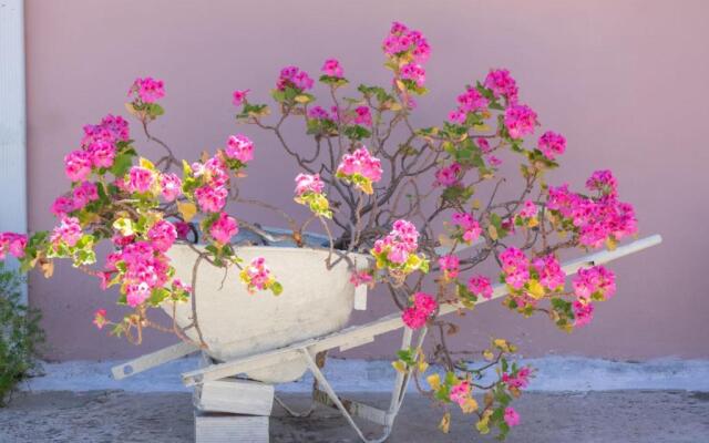 Doras Beach Bungalow B