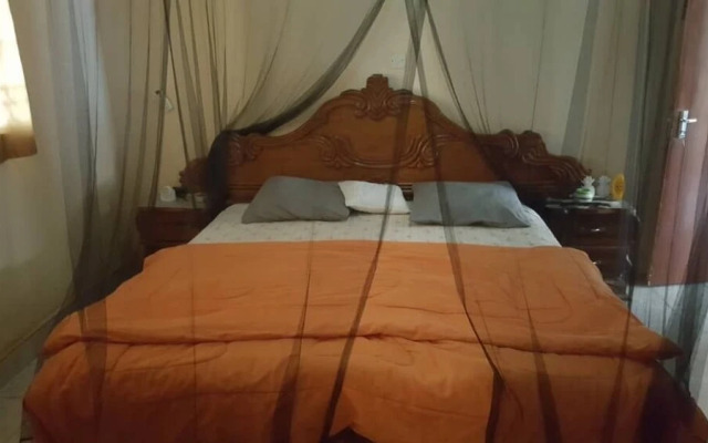 Bahamas Guest