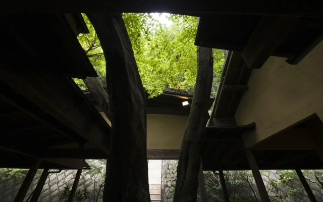 Musouan Biwa