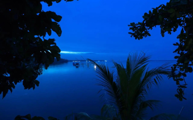 orchid lake view homestay