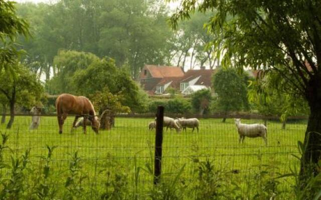 Herenboer Damme