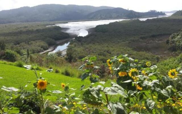 Taranaki (Adults Only)