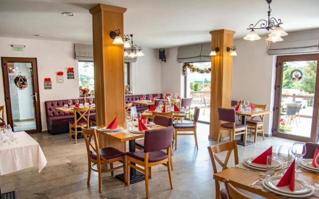 Pensiune Rara Paltinis