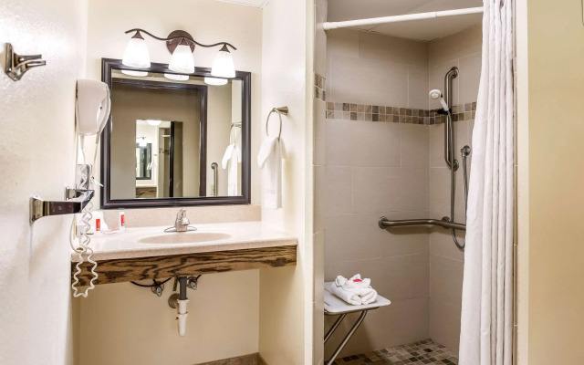 Econo Lodge Mayo Clinic Area