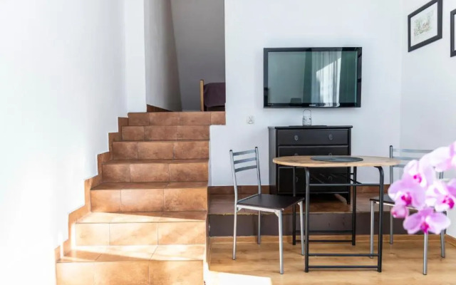 Brzoza w centrum Zakopanego