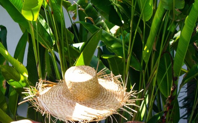 The Mandana Suites & Villas