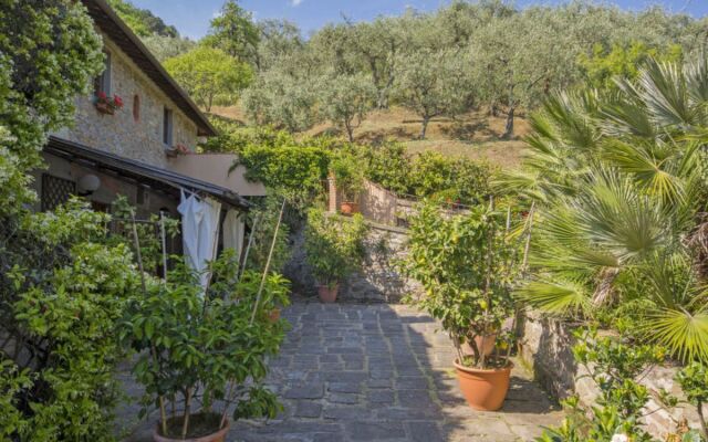 Santa Margherita 25921