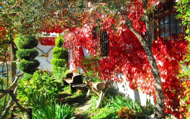 Cortijo Brazal La Ventaja