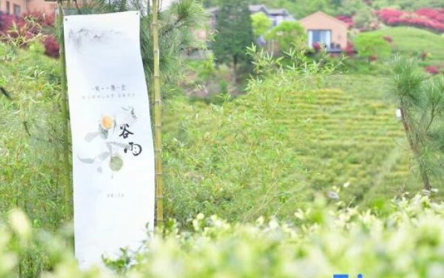 Yuyao Old Shen's Tea House