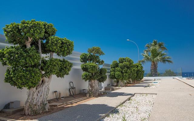 Villa for Rent in Protaras 1225