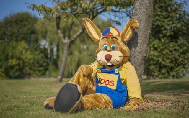 Moder Chalet With a Dishwasher, Behind the Dunes