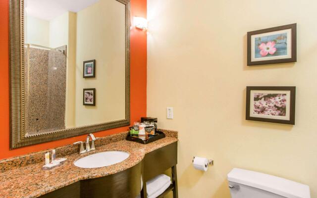 Comfort Inn & Suites Villa Rica