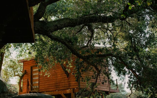 Boskenvid Hotel Boutique, Skypool