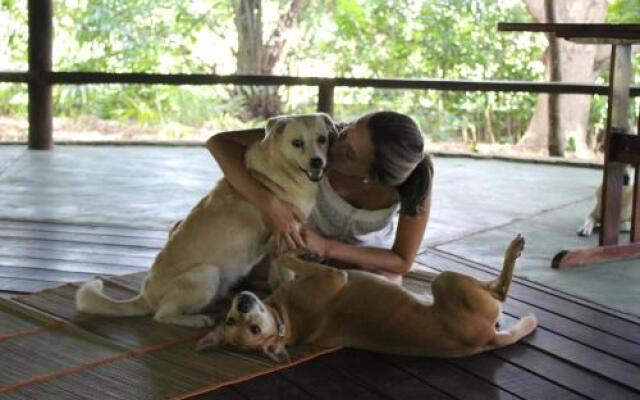 Nature Retreat with Healing Dogs in Brazil