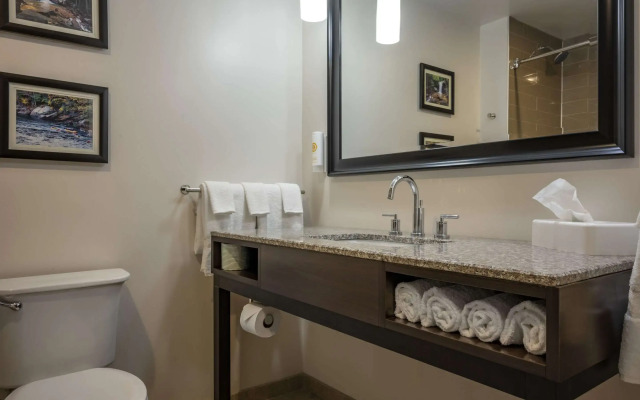 Comfort Inn