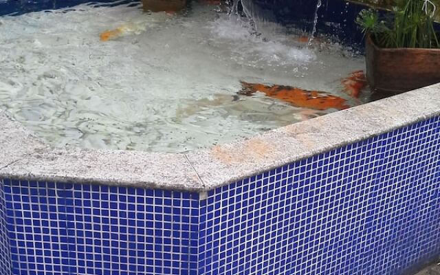 Suites em Meio a Mata Atlantica