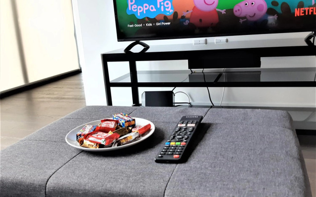 Cozy Skyline Entire Condo in Downtown, Across MTS