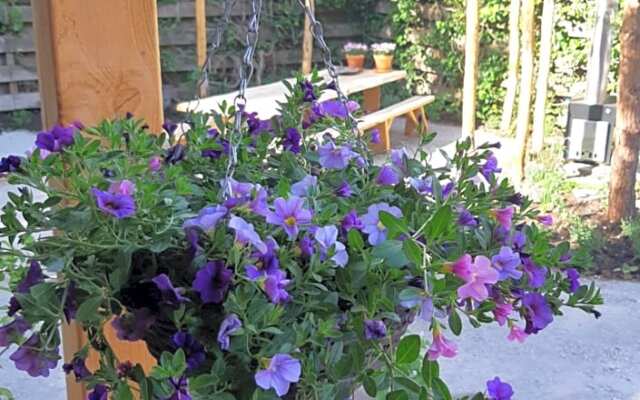 B&B Perron 22