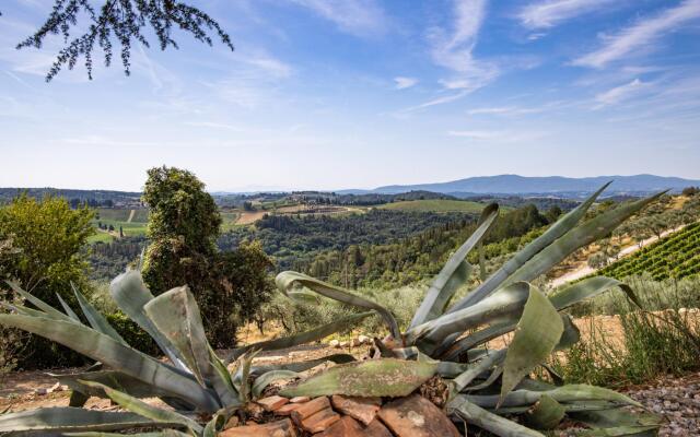 Si-g752-sdto0at - Tenuta di Macericca 10