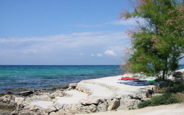 Holiday house VEKY - 50m from sea: Susica, Island Ugljan