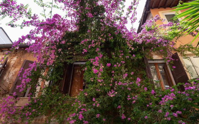 Monica 6 superior appartment