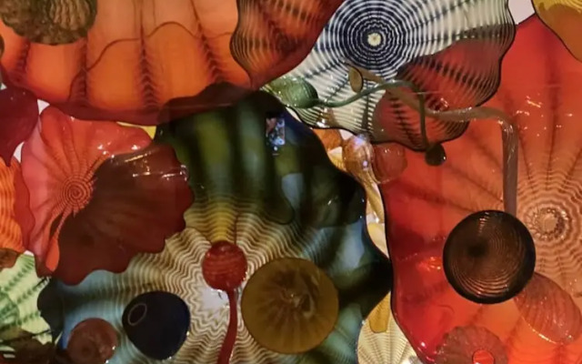 The Mermaid and the Sea Turtle