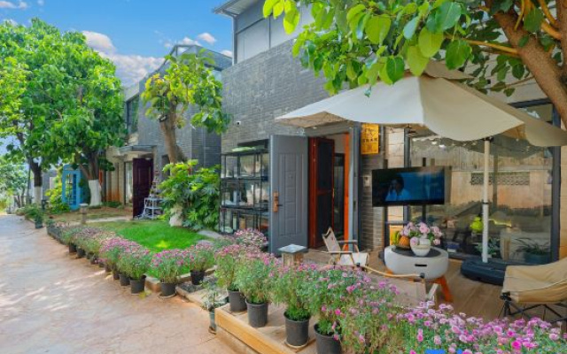 Twilight Light Collection Homestay