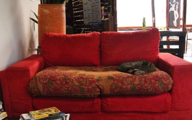 Hostal Casa del Loro - Hostel