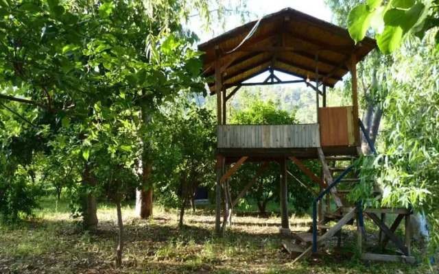 Likya Pansyon