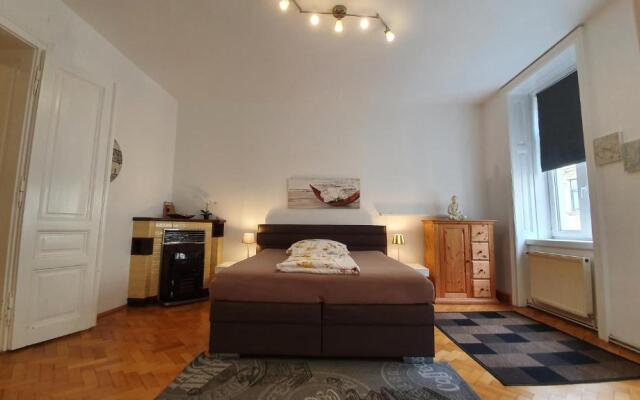 Gorgeous Viennese Apartment 10 min to City Center