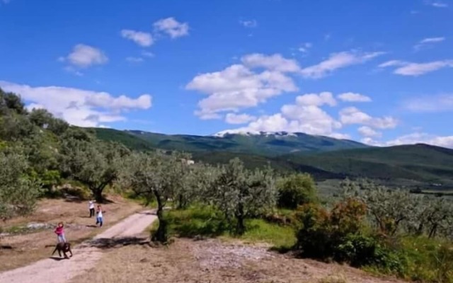 Agriturismo Monte Cologna