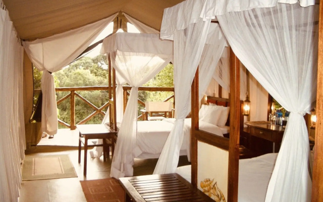 Fig Tree Camp