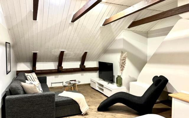 Unique open space loft studio in the attic