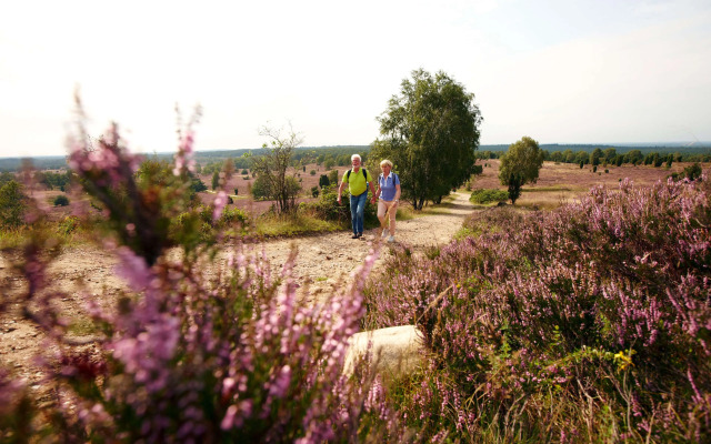 Best Western Hotel Heidehof