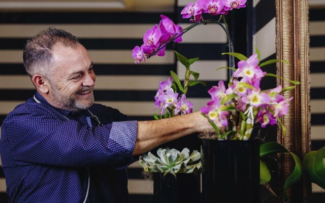 Grand Mercure Sao Paulo Ibirapuera