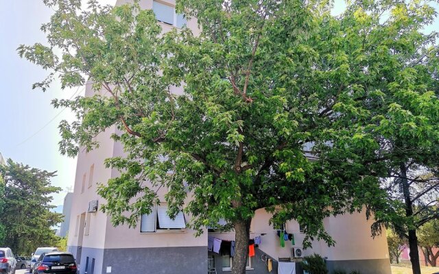 Apartment Ileora