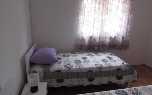 Room Bioci