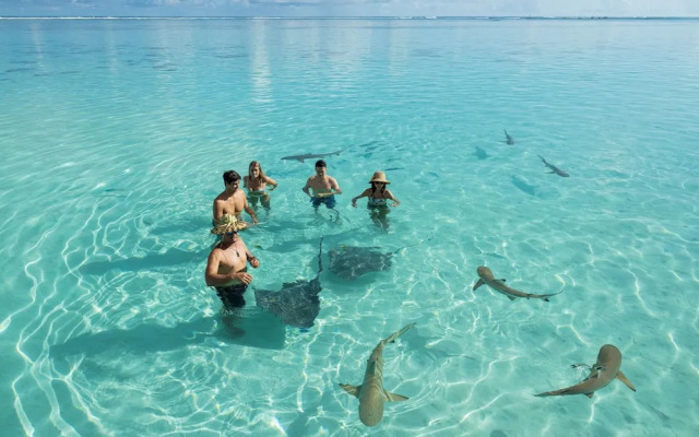 Moorea - The ZEN Den spa