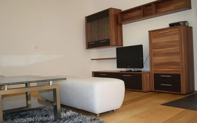 Apartment in the ski Area