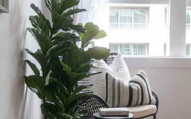 Stylish 1 Bedroom Apartment Near Beach