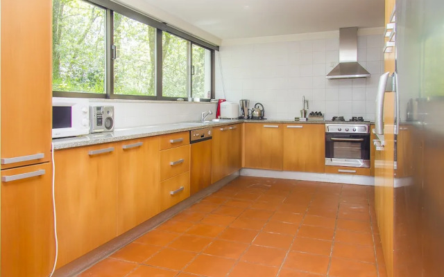 Liiiving in Caminha - Oak Tree Chill