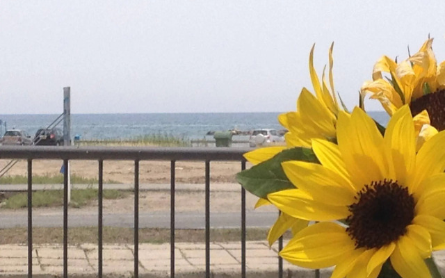 Themis Apartments