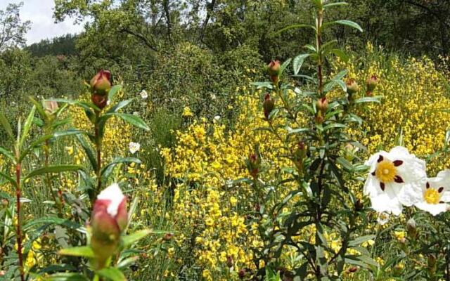 Refugio De La Rabaza