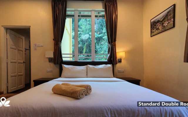 Arundina Cameron Highlands