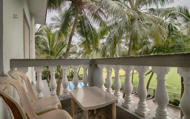 Palm Shades Spring
